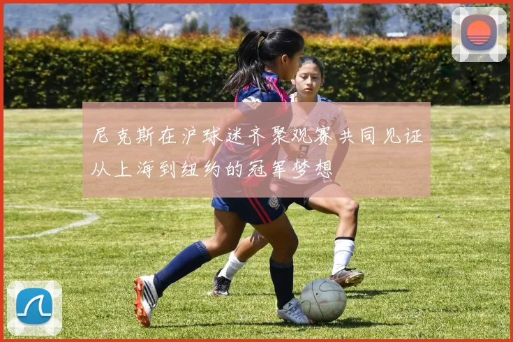 尼克斯在沪球迷齐聚观赛共同见证从上海到纽约的冠军梦想